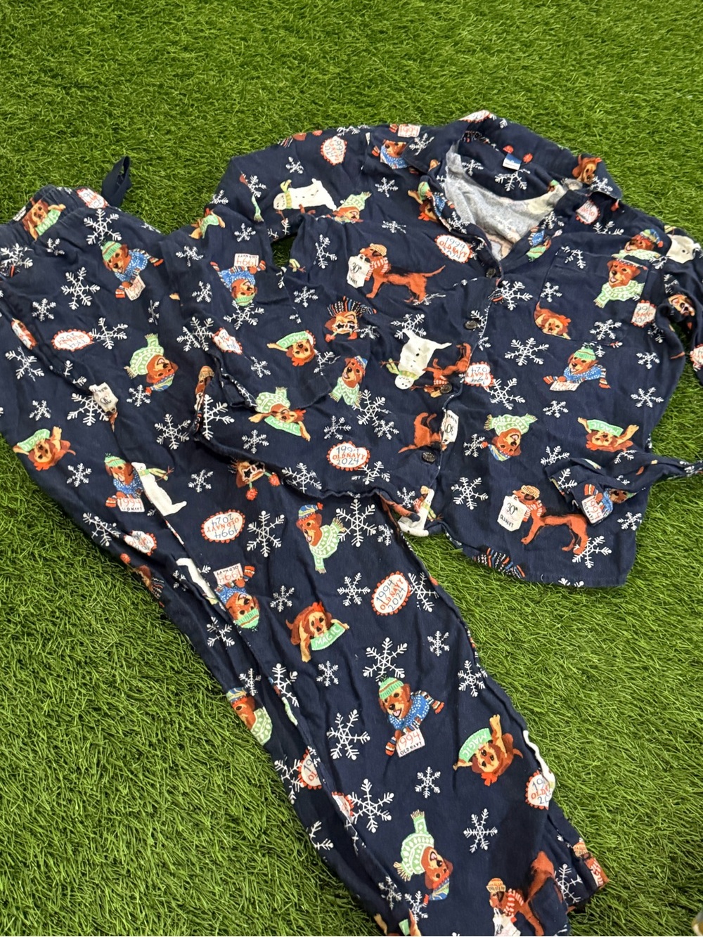 Old Navy Button Down Pajama Set - Winter Dogs